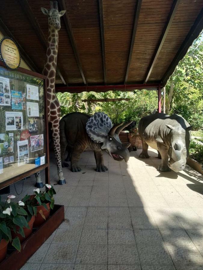 Ti Kaz en Bois Villa Sainte-Rose Kültér fotó