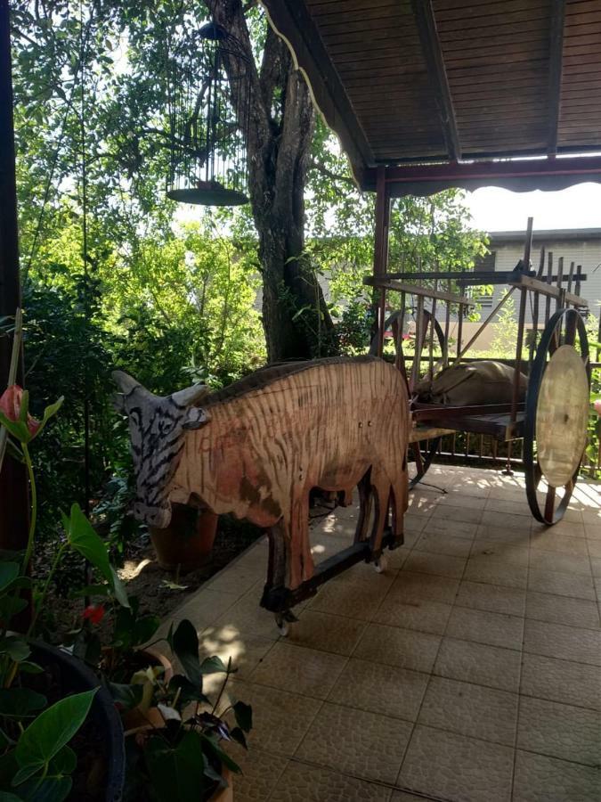 Ti Kaz en Bois Villa Sainte-Rose Kültér fotó